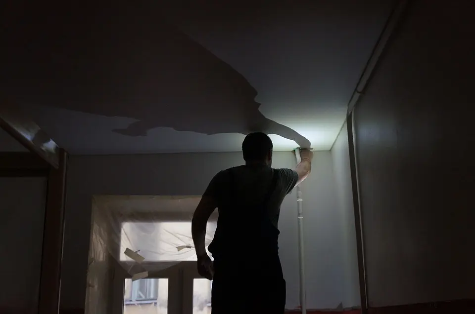 Ceiling Repair Services
